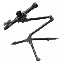 ը