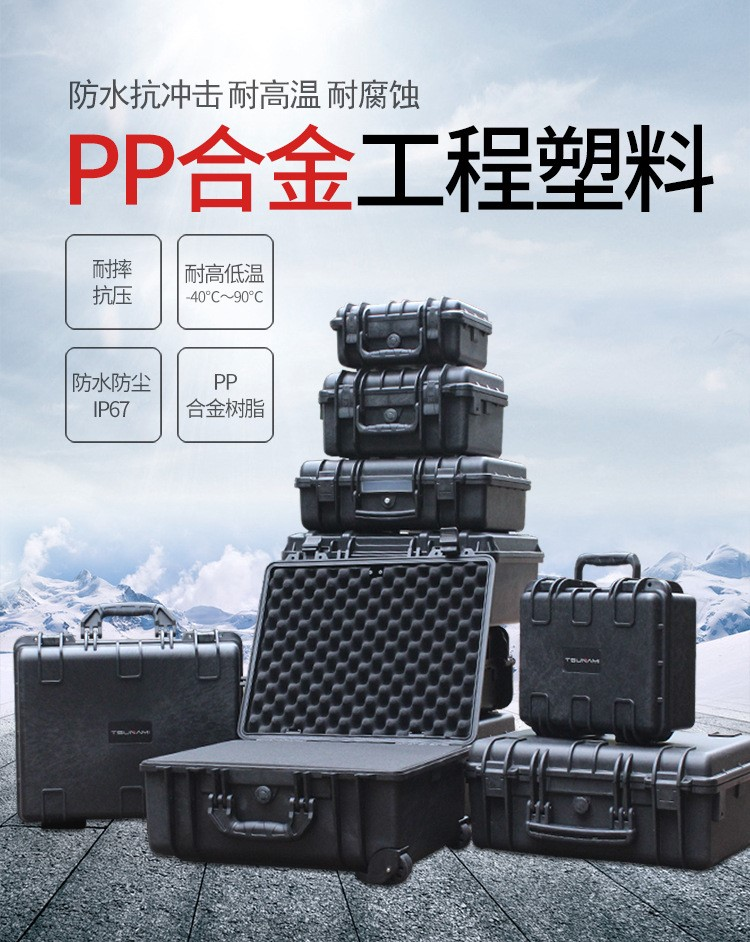 豸ȫ䣨A29L